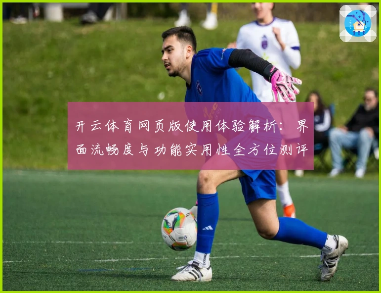 开云体育网页版使用体验解析：界面流畅度与功能实用性全方位测评