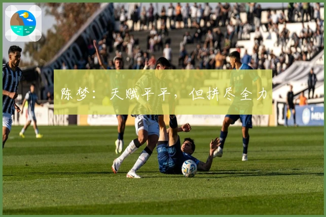 陈梦：天赋平平，但拼尽全力