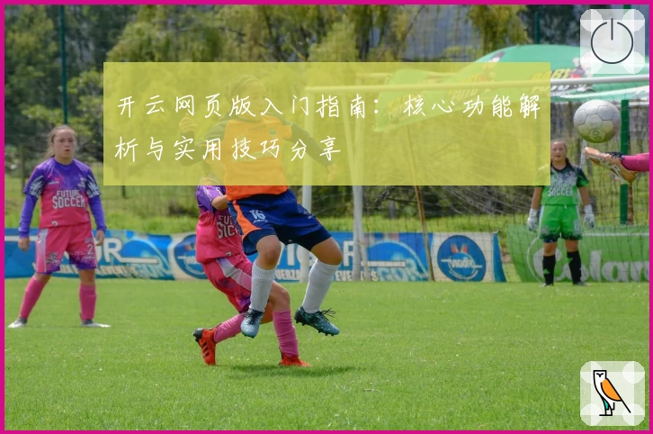 开云网页版入门指南：核心功能解析与实用技巧分享