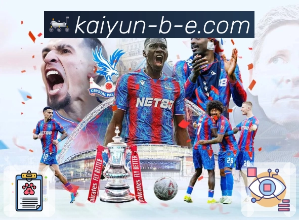 荣耀品牌的社会担当