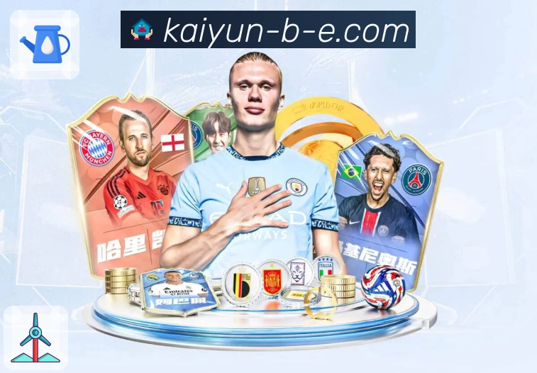 荣耀品牌的社会担当